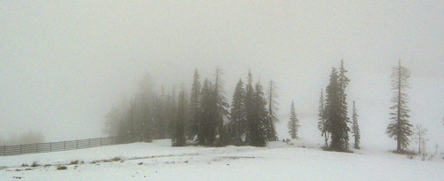 trees mist fog landscape utah spring highway nebel snowstorm scenic snowplow