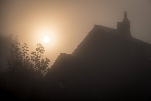 europe exmes nikon nikond750 bassenormandie brouillard brume fog france leverdesoleil mist nikonpassion nikonphotography normandie orne sunrise