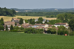 Champs de maïs encore vert devant le village de Champagne