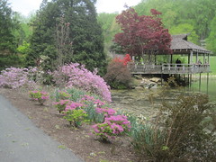 Teahouse in Spring 3