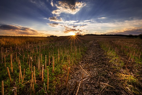 stubble sunset yellow harvest wheat magic moravian sky season scenic scenery rural plant outdoor nature landscape land idyllic horizon green grass forest field farm evening environment day countryside country cloudy clouds cloud beauty beautiful background agriculture