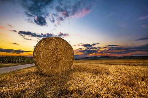 sunset bale corn scene rural photography outdoors nopeople nature woody trees tree sun summer stubble straw sky shadows setting seasons scenic scenery rows row production power poles pole plants plant light landscape land idyllic hay harvested grain fields field farming evening europe cultural cultivation clouds agriculture