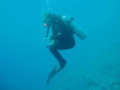 Helen Relaxing on Drift Dive Image