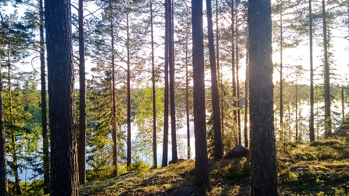 cycletouring cyclotourisme europe freewheelycom lake sunset sweden trees jbcyclingnordkapp