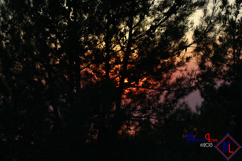 trees sunset tree landscape photography smoke lewis ml antoine marquis menifee marquislewis marquisantoinelewisphotography