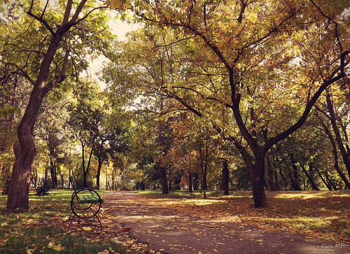 park autumn trees fall bench october fujifilm