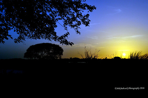texas sunset summer july i45 bayouvistatexas roadtrip nature outdoors trees sky sun clouds