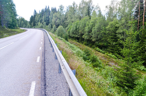 cycletouring cyclotourisme europe forest freewheelycom sweden jbcyclingnordkapp