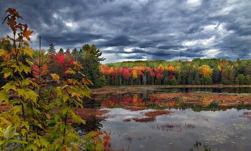 autumn clouds colors fall foliage landscape pond reflection