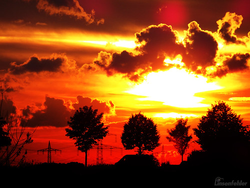 sunset sun sky red trees autunm dawn