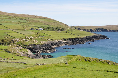 ireland houses sea seascape grass sunshine landscape island coast nikon view farm cork cliffs coastline blueskies beara d90 dersey
