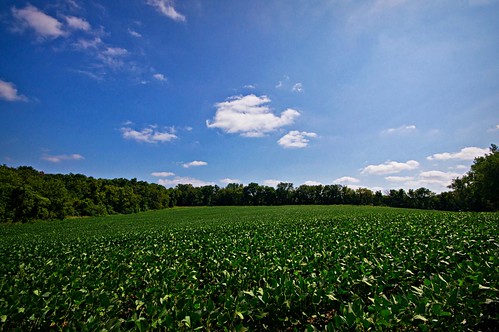 sun lake green field minnesota clouds creek silver maple beans shine farm indian land soy lightroom a55 picmonkey
