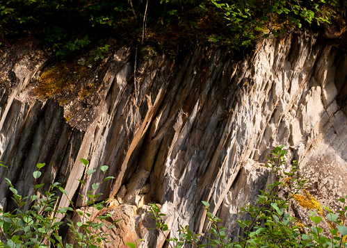 road canada forest columbia formation service british geologic morkill princegeorgenaturalistsclub