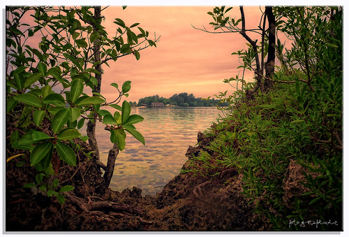 sunset green reflections nikon lagoon hidden exotic tropical lush mangroves vanuatu d90 portvila colorphotoaward fotografdude erakanisland