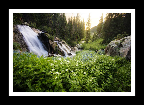 flowers camping landscape waterfall interesting fishing colorado colorful dynamic hiking exploring peaceful calm backpacking slowshutter vegetation backcountry rockymountains wildflowers majestic tranquil exciting highcountry subalpine holycrosswilderness alping tylerporter