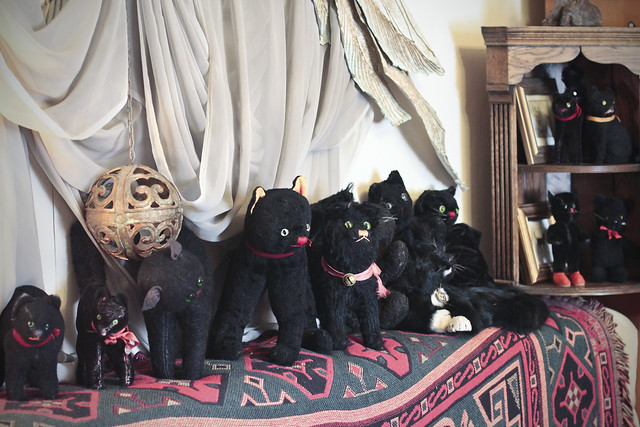 Black cats soft toy section