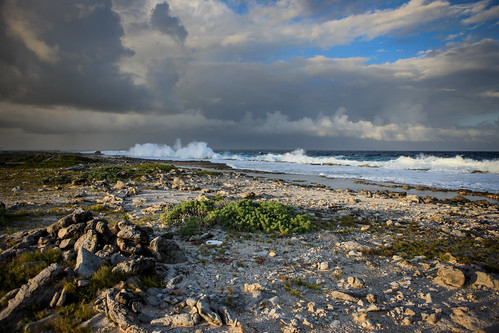 ocean sea water clouds landscape coast creativecommons caribbean bonaire netherlandsantilles yabbadabbadoo