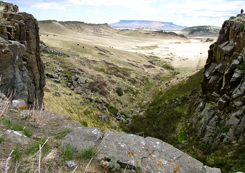 landscape buffalo montana rocks native grasses prairie nativeamericans buffalojumps