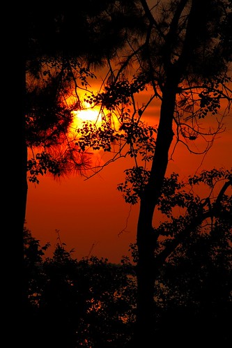 sunset sky brilliant color lake lakemoultrie monckscorner southcarolina mdggraphix