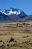Peru-1142re