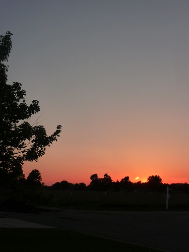 sunset sky orange west tree field portland spring dusk michigan may clear