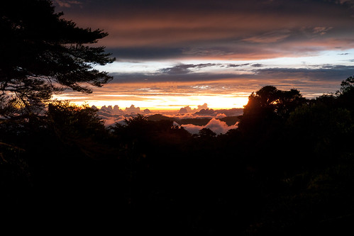 trees sunset vacation mountain clouds forest costarica sanjose cordilleradetalamanca 2012springvacation