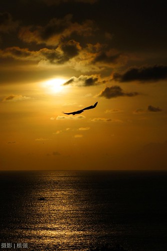 sunset sea landscape eagle sony pangkor a33 malaysia