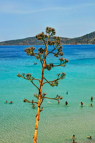 summer vacation photography nikon greece mediterraneansea tolo nikond90