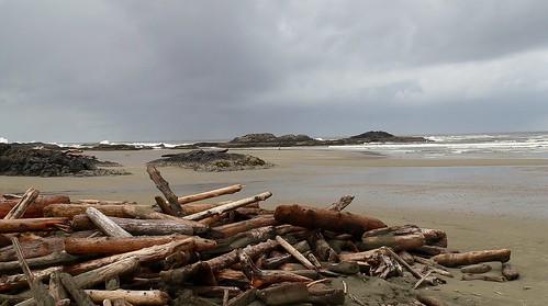 wood canada storm west beach forest grey sand rocks surf skies bc pacific northwest forestry britishcolumbia tide logs logging pebbles vancouverisland driftwood pacificocean longbeach walker tofino lone rim chill pacificrimhighway pacificrimnationalpark chestermanbeach coxbay clayoquotsound