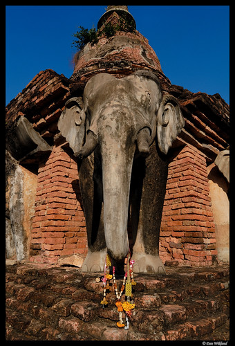 elephant thailand temple buddhist ruin thai d200 2009 sukhothai