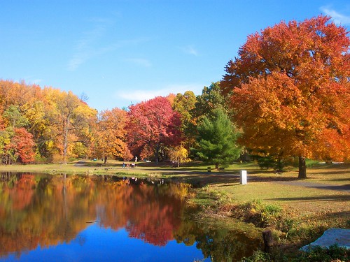 autumn fall water colors reflections landscape colorful waterreflections nomahegan