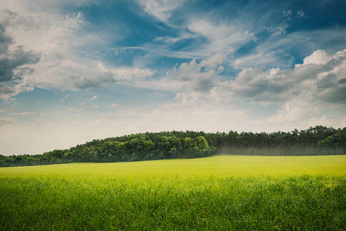 wood cloud green grass germany landscape nikon manuel 28 nikkor brandenburg d800 366 1424 gutjahr project366
