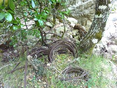 Suite du vieux sentier en amont de la brèche du Carciara : restes de câble métallique autour du tronc