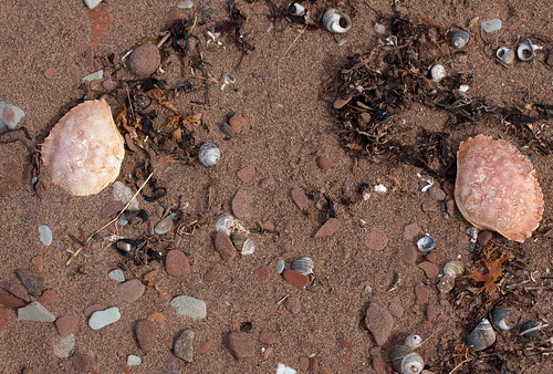 shells beach river spring sand may prince edward murray pei 2012 d40 islandnikon riverfantasy landfantasyland
