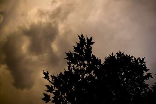 sunset sky color tree silhouette clouds oregon maple nikon grantspass d90