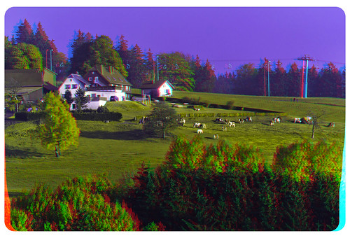 3d 3dphoto 3dstereo 3rddimension spatial stereo stereo3d stereophoto stereophotography stereoscopic stereoscopy stereotron threedimensional stereoview stereophotomaker stereophotograph 3dpicture 3dglasses 3dimage anaglyph anaglyph3d redcyan redgreen optimized anaglyphic anabuilder hyperstereo twin canon eos 550d yongnuo radio transmitter remote control synchron in synch sigma zoom lens 70300mm tonemapping hdr hdri raw cr2 quietearth europe germany saxony sachsen vogtland schöneck hohereuth cows kuhweide sessellift teleferic winter sports 3dframe fancyframe floatingwindow spatialframe stereowindow window