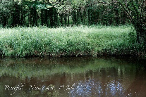 nature eau vert rivière arbre calme herbe sonynex5n
