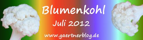 Garten-Koch-Event Juli 2012: Blumenkohl [31.07.2012]