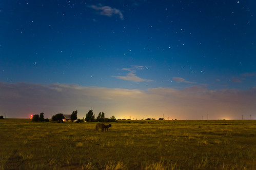 horses clouds stars landscape nightshot pasture lubbock texastech ttu gottobservatory
