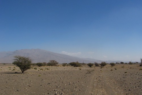 Gravel plain on the east Wahiba