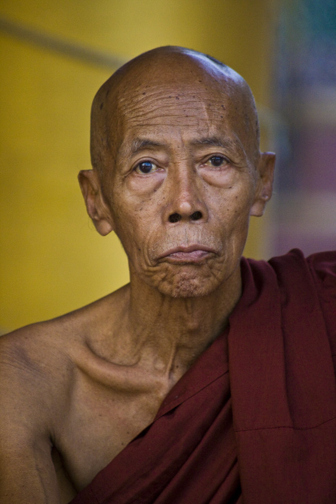 Burmese Monk At The Shwedagon