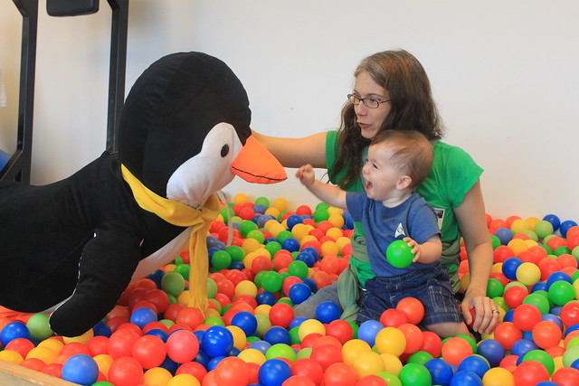 New York - Google - Penguin, Vicky, Sagan in Ballpit 1a (By Ryan Somma)
