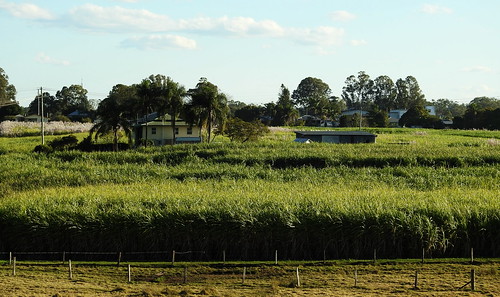 australia maryborough queensland sugarcanefarm