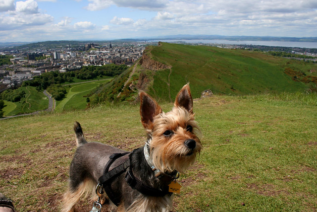 Luna in Holyrood Park