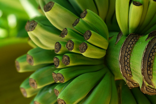 Micro Bananas
