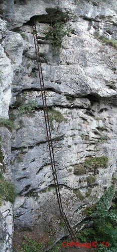 niederösterreich österreich austria lower wandern hikking hiking wanderlust natur nature autumn summer rock steine geology geologie steinwandklamm klamm gorge canyon hugin