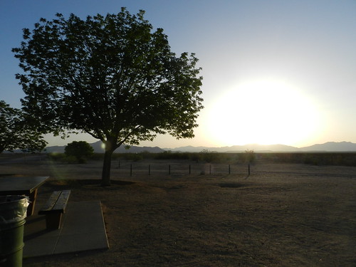 sunset tree landscape desert reststop mojave 2012 nikoncoolpixp500