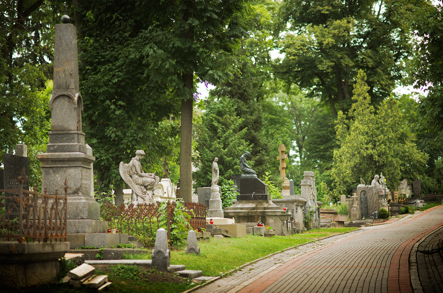 Старое львовское кладбище фото