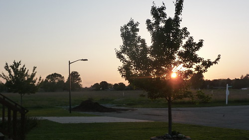sunset sky west tree field portland spring dusk michigan may
