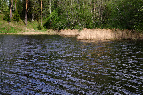 lake water spring estonia pentax vesi eesti järv kevad k7 viljandimaa pentaxk7 karksivald ainjajärv